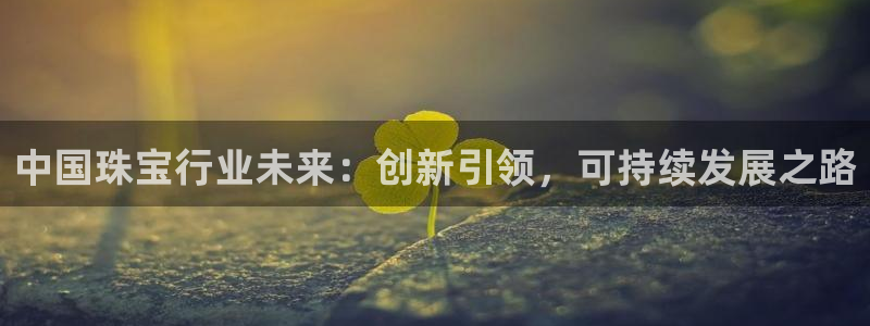 新宝5登录入口网址