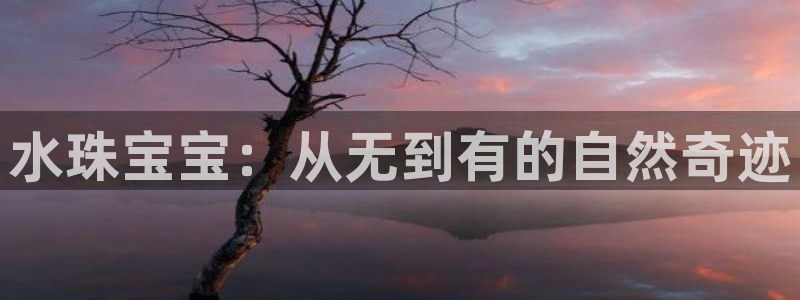 新宝5下载官方：水珠宝宝：从无到有的自然奇迹