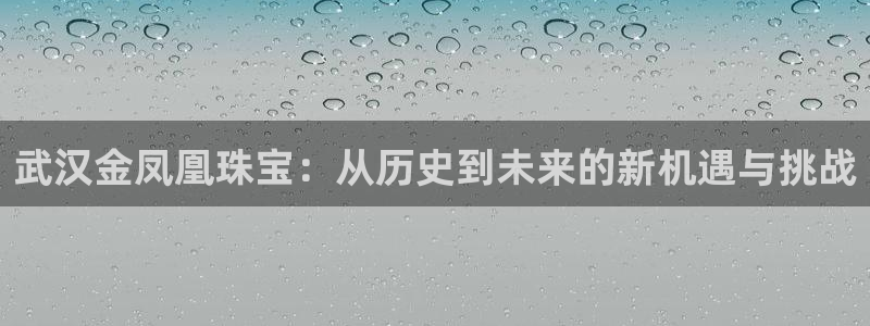 新宝5测速在线：武汉金凤凰珠宝：从历史到未来的新机遇与挑战