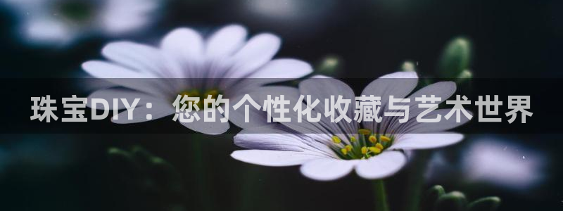 新宝5注册登录：珠宝DIY：您的个性化收藏与艺术世界