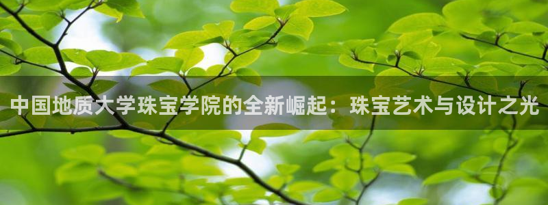 新宝5软件下载：中国地质大学珠宝学院的全新崛起：珠宝艺术与设计之光