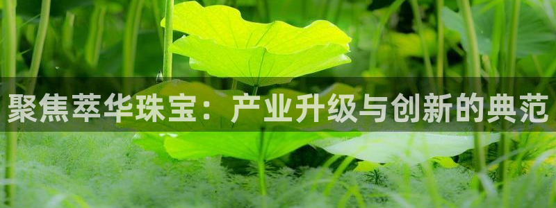 新宝5苹果手机下载：聚焦萃华珠宝：产业升级与创新的典范