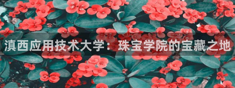 新宝5代理：滇西应用技术大学：珠宝学院的宝藏之地