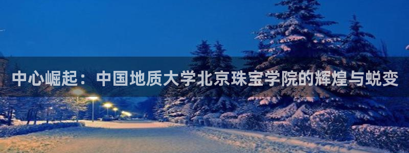 新宝5吕74OOO5：中心崛起：中国地质大学北京珠宝学院的辉煌与蜕变