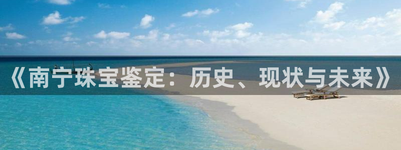 新宝5平台注册资金：《南宁珠宝鉴定：历史、现状与未来》