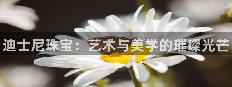 新宝5娱乐招商：迪士尼珠宝：艺术与美学的璀璨光芒