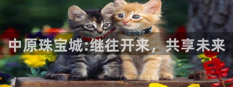 新宝5寻33 300球：中原珠宝城:继往开来，共享未来