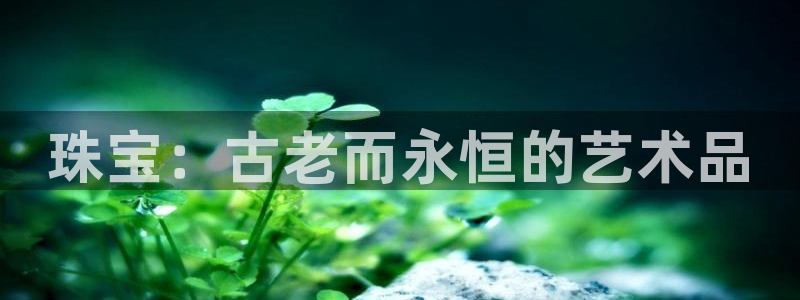新宝5总代：珠宝：古老而永恒的艺术品