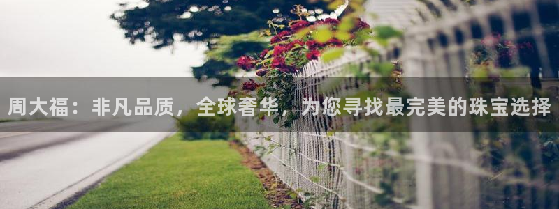 新宝5娱乐学