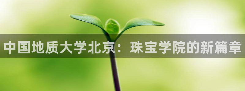 下载新宝5：中国地质大学北京：珠宝学院的新篇章