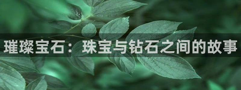 新宝5app：璀璨宝石：珠宝与钻石之间的故事