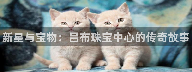 新宝5官网app：新星与宝物：吕布珠宝中心的传奇故事