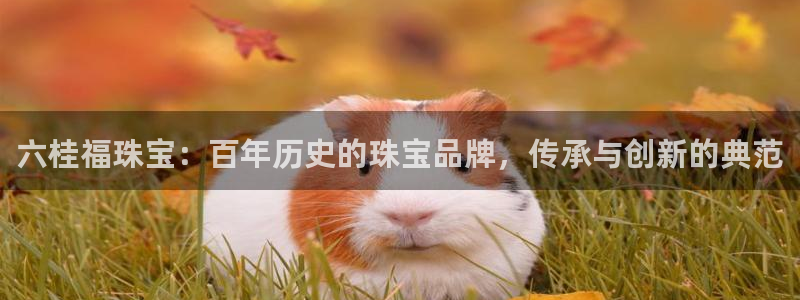 新宝5黑：六桂福珠宝：百年历史的珠宝品牌，传承与创新的典范