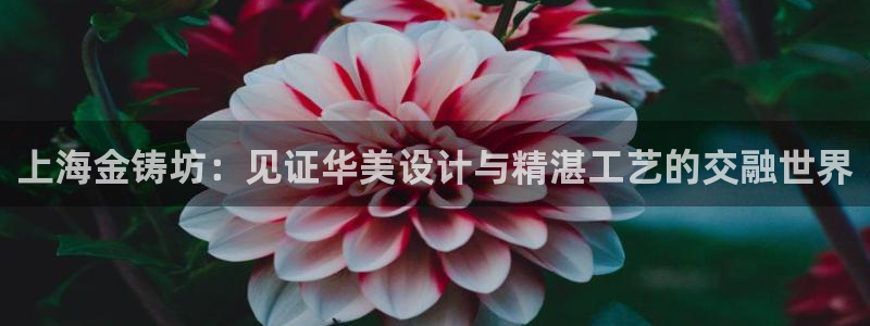 新宝5下载测试：上海金铸坊：见证华美设计与精湛工艺的交融世界