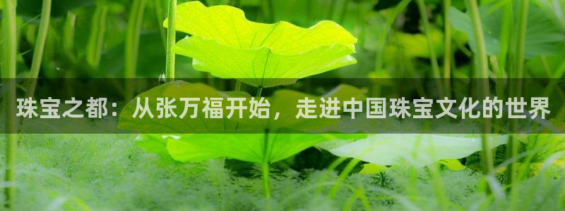 新宝5苹果手机下载：珠宝之都：从张万福开始，走进中国珠宝文化的世界