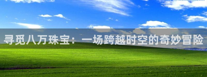 新宝5平台注册：寻觅八万珠宝：一场跨越时空的奇妙冒险