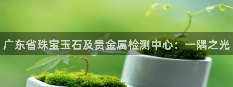 新宝5开好：广东省珠宝玉石及贵金属检测中心：一隅之光