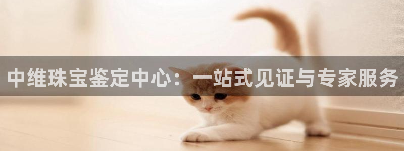 新宝5上来77542：中维珠宝鉴定中心：一站式见证与专家服务