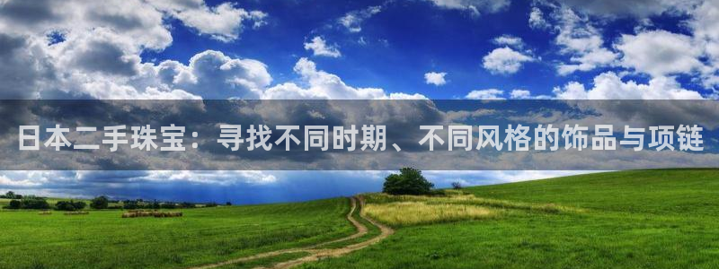 新宝5日谢29999：日本二手珠宝：寻找不同时期、不同风格的饰品与项链
