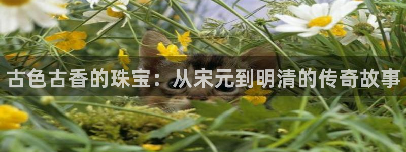 新宝5娱乐都：古色古香的珠宝：从宋元到明清的传奇故事