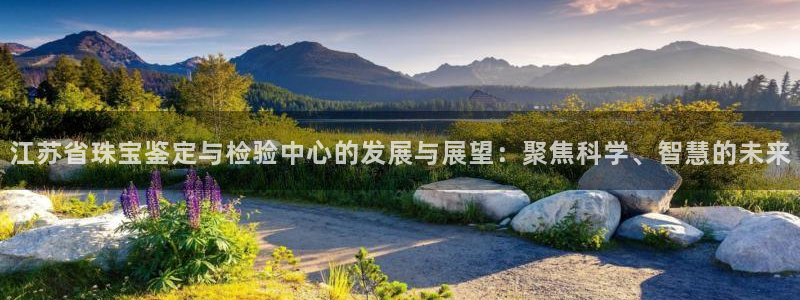 新宝5链接：江苏省珠宝鉴定与检验中心的发展与展望：聚焦科学、智慧的未来