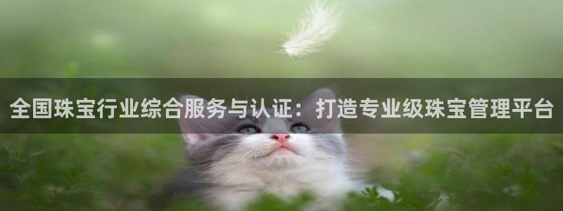 新宝5安卓版：全国珠宝行业综合服务与认证：打造专业级珠宝管理平台