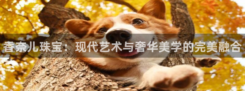 新宝5代理：香奈儿珠宝：现代艺术与奢华美学的完美融合