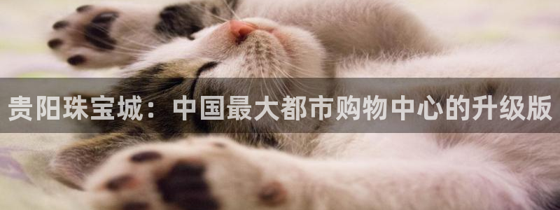新宝5软件下载：贵阳珠宝城：中国最大都市购物中心的升级版