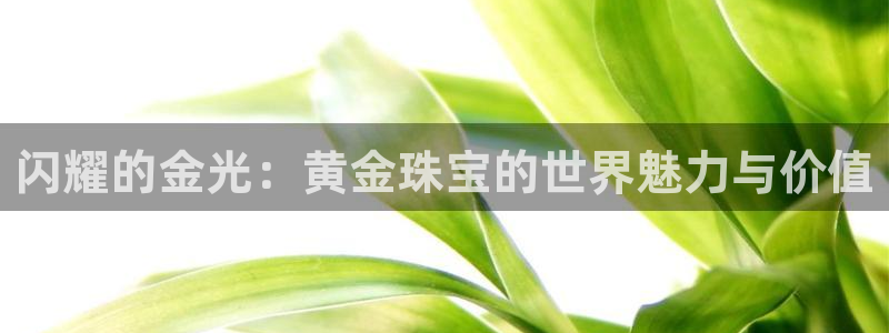 新宝5手机版登录：闪耀的金光：黄金珠宝的世界魅力与价值