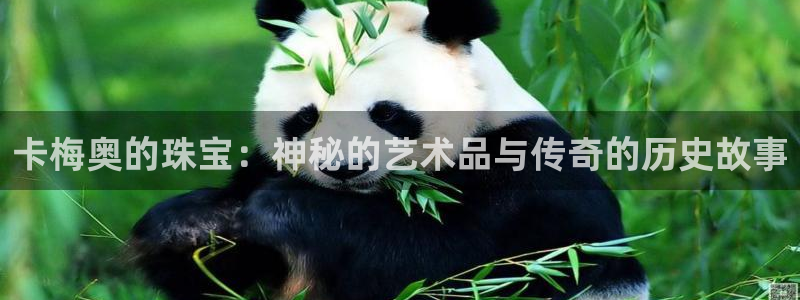 新宝5彩票平台登陆：卡梅奥的珠宝：神秘的艺术品与传奇的历史故事