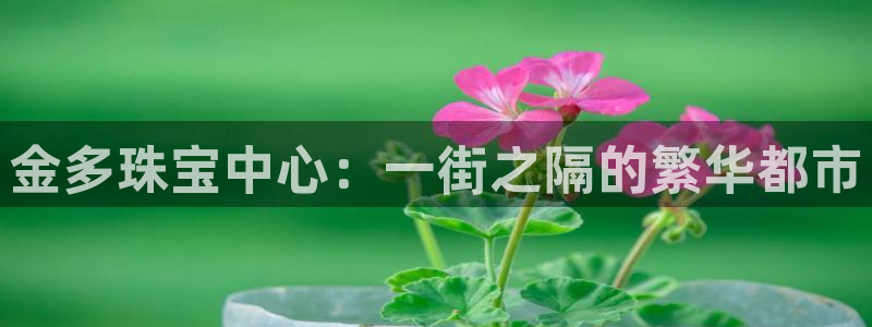 新宝5娱乐都：金多珠宝中心：一街之隔的繁华都市