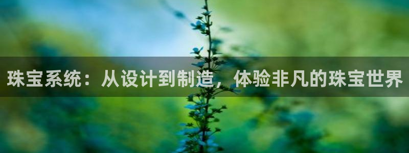 新宝5招商：珠宝系统：从设计到制造，体验非凡的珠宝世界