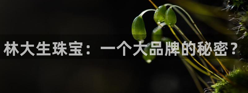新宝5登录不了：林大生珠宝：一个大品牌的秘密？
