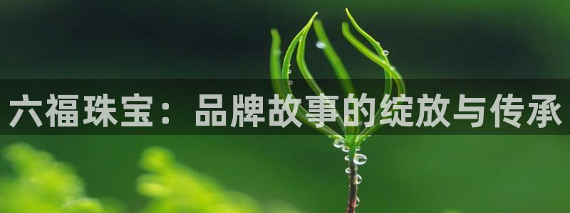 新宝5测：六福珠宝：品牌故事的绽放与传承
