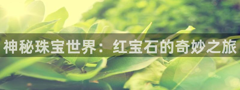 新宝5寂创33300散：神秘珠宝世界：红宝石的奇妙之旅