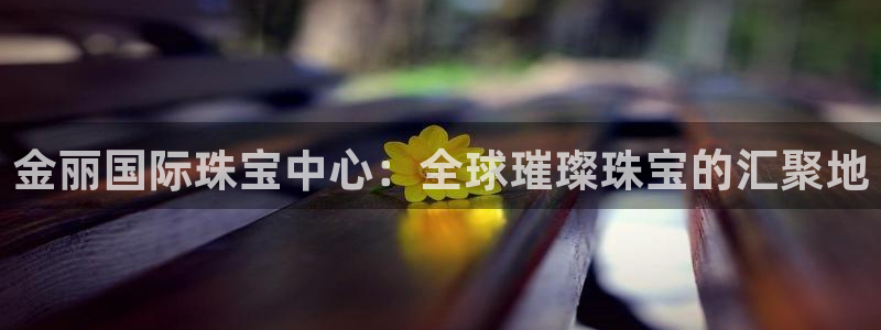 新宝5日740005蔻：金丽国际珠宝中心：全球璀璨珠宝的汇聚地