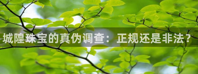 新宝5注册链接：城隍珠宝的真伪调查：正规还是非法？