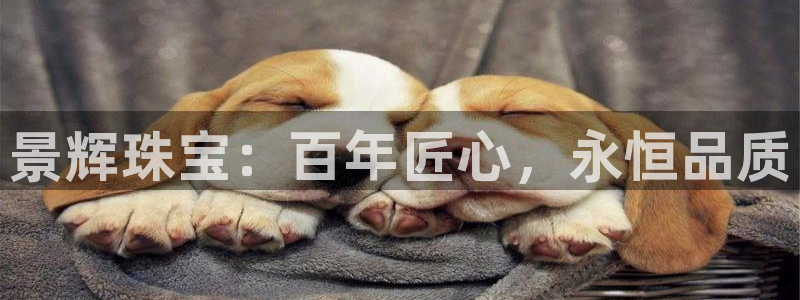 新宝5平台登录：景辉珠宝：百年匠心，永恒品质