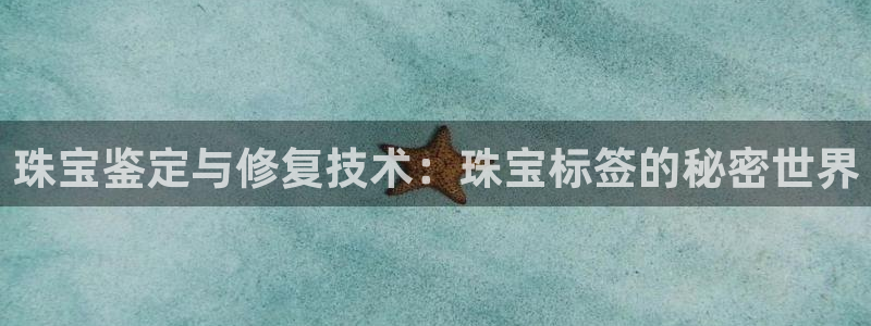 5新宝：珠宝鉴定与修复技术：珠宝标签的秘密世界