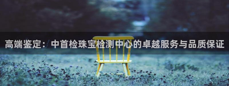 新宝b2O5O5O：高端鉴定：中首检珠宝检测中心的卓越服务与品质保证