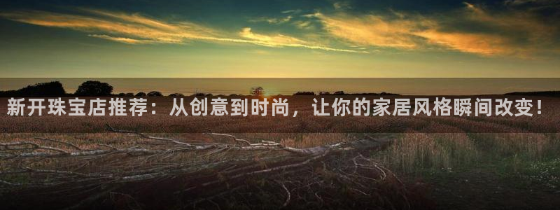 新宝5登录地址：新开珠宝店推荐：从创意到时尚，让你的家居风格瞬间改变！