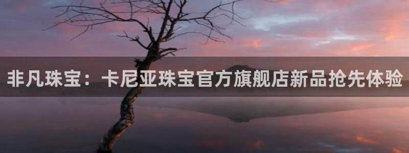 新宝5官网：非凡珠宝：卡尼亚珠宝官方旗舰店新品抢先体验