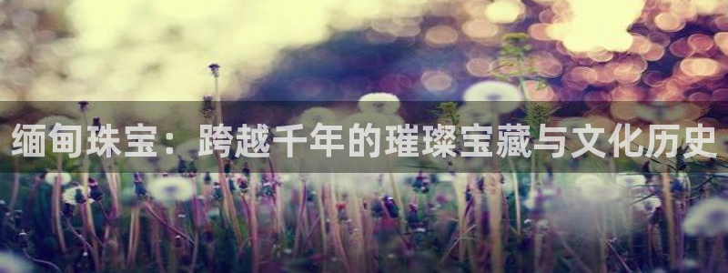 新宝5现在还能玩吗：缅甸珠宝：跨越千年的璀璨宝藏与文化历史