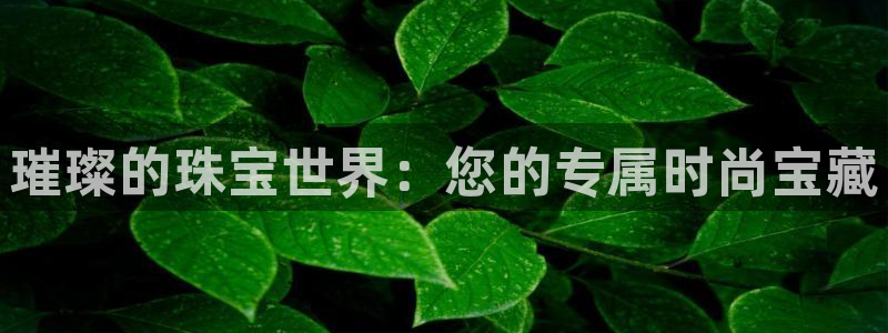 新宝5彩票平台登陆：璀璨的珠宝世界：您的专属时尚宝藏
