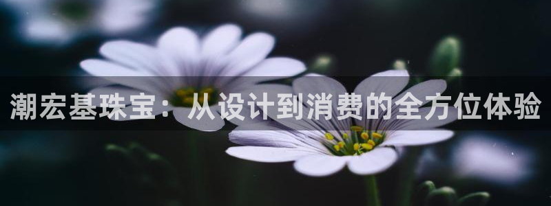 新宝5X：潮宏基珠宝：从设计到消费的全方位体验