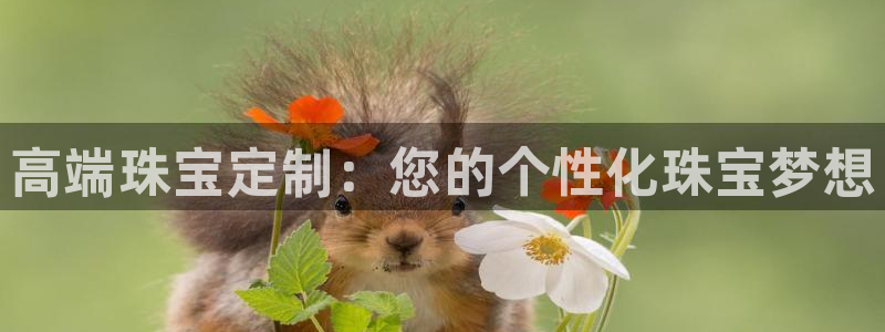 新宝5测：高端珠宝定制：您的个性化珠宝梦想