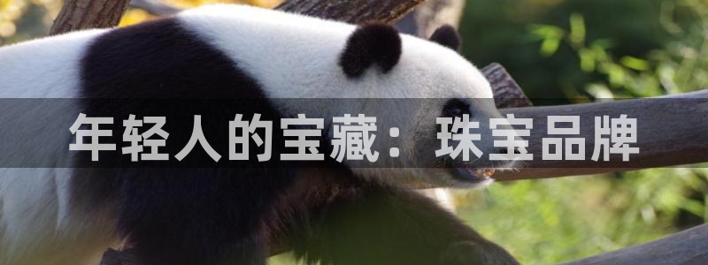 下载新宝5：年轻人的宝藏：珠宝品牌