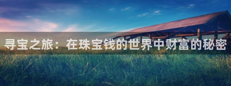 新宝5日谢29999：寻宝之旅：在珠宝钱的世界中财富的秘密