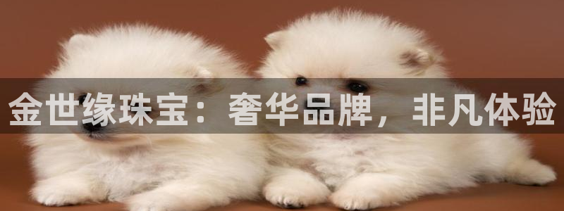 新宝5彩票是正规平台吗：金世缘珠宝：奢华品牌，非凡体验