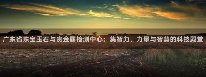 新宝5娱乐学：广东省珠宝玉石与贵金属检测中心：集智力、力量与智慧的科技殿堂